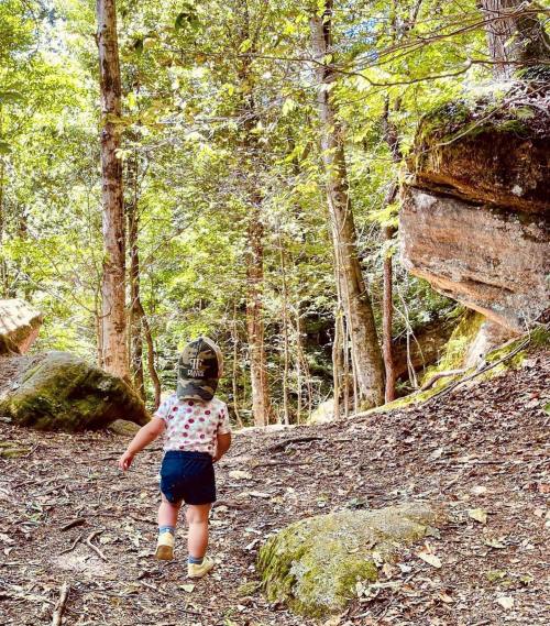 A toddler in a cap walks through a lush forest, surrounded by trees and large rocks.