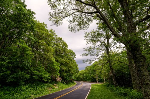 A winding road surrounded by lush green trees under a cloudy sky.