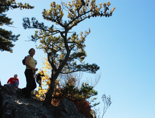 A woman stands on a rocky outcrop beside a tree, with a clear blue sky above and another person in the background.