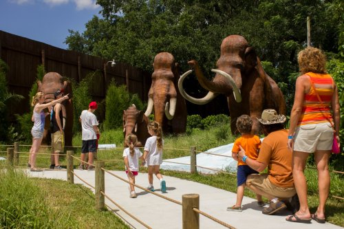 Visitors admire life-sized elephant sculptures in a lush outdoor setting, with children exploring nearby.