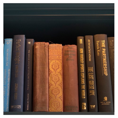 A close-up of a bookshelf displaying various vintage books with colorful spines and intricate designs.