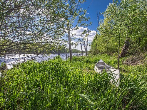 A canoe rests on lush green grass by a river, surrounded by trees and a bright blue sky with fluffy clouds.