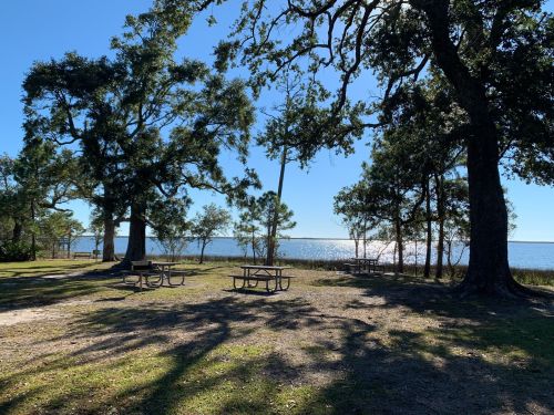 A serene park scene with picnic tables under trees, overlooking a shimmering lake on a sunny day.