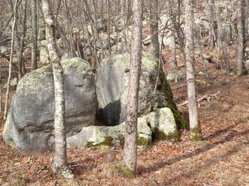 Two large boulders surrounded by trees in a forested area with fallen leaves on the ground.