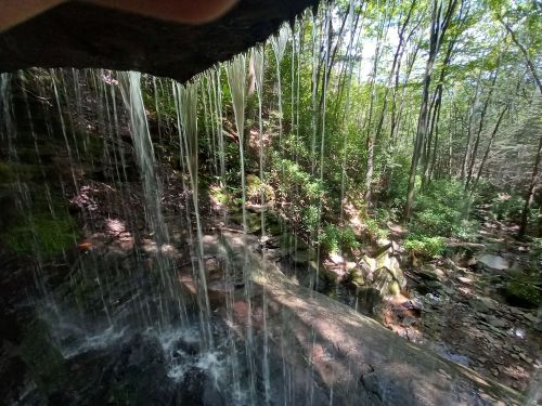 A serene waterfall cascades over rocks, surrounded by lush green trees and a peaceful forest landscape.