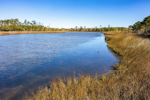 A serene river scene with tall grasses along the bank and trees in the background under a clear blue sky.