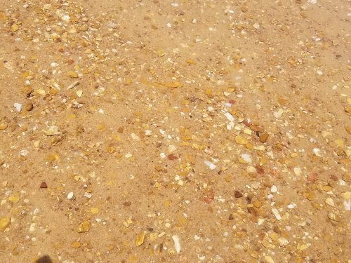 A sandy surface scattered with small, colorful pebbles and stones in various shades of yellow, white, and brown.
