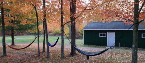 Two colorful hammocks hang between trees with autumn leaves, beside a green shed in a serene outdoor setting.