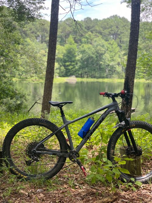 A mountain bike rests against a tree near a serene lake, surrounded by lush greenery and tall trees.
