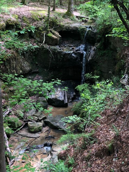 A serene forest scene featuring a small waterfall cascading over rocks, surrounded by lush greenery and trees.