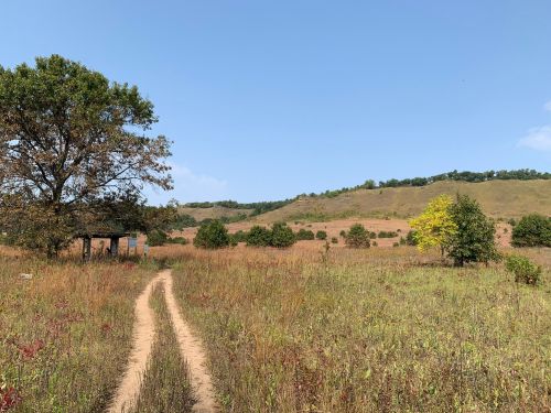 A dirt path leads through a grassy field with a tree and a small shelter, surrounded by rolling hills under a clear blue sky.