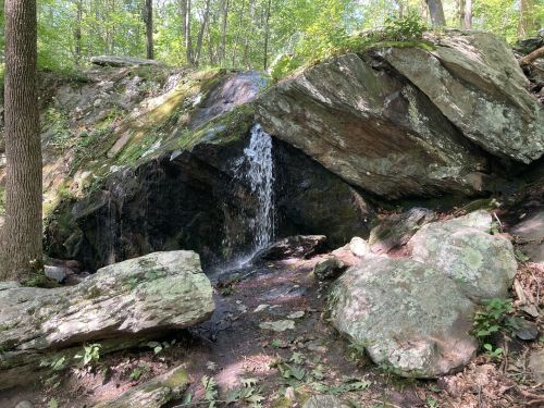 A small waterfall cascades over rocks in a lush, green forest setting.