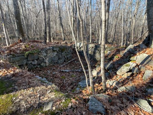 A stone foundation surrounded by bare trees and fallen leaves in a wooded area.