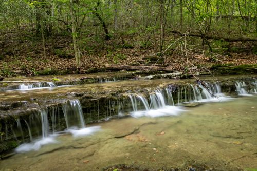 A serene forest scene featuring a gentle stream with small waterfalls flowing over rocky terrain, surrounded by lush greenery.