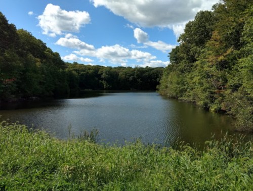 A serene lake surrounded by lush greenery and trees under a partly cloudy blue sky.