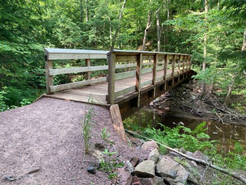 A wooden bridge spans a small stream in a lush, green forest, surrounded by trees and rocky terrain.