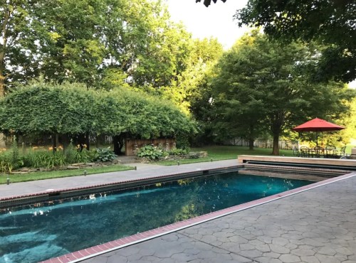 A serene backyard scene featuring a swimming pool, lush greenery, and a shaded seating area with an umbrella.