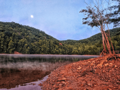 Serene lakeside view at dusk, with a full moon, lush green hills, and a tree leaning over the water's edge.