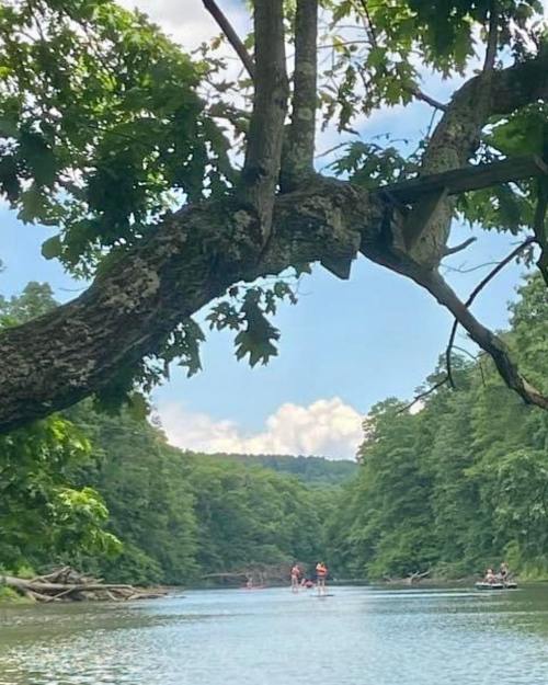 A serene river scene framed by a tree, with people kayaking in the distance surrounded by lush greenery.