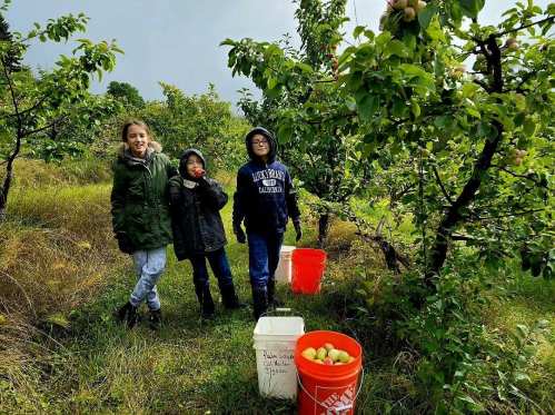 Three children in raincoats stand in an orchard, smiling with buckets for apple picking. Green trees surround them.