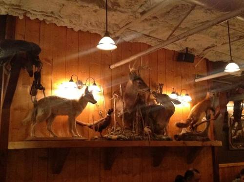 Taxidermy animals displayed on a wooden shelf in a rustic restaurant setting, with warm lighting.