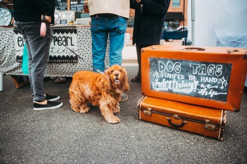 A golden cocker spaniel stands near a vintage suitcase with a sign for handmade dog tags at a market.