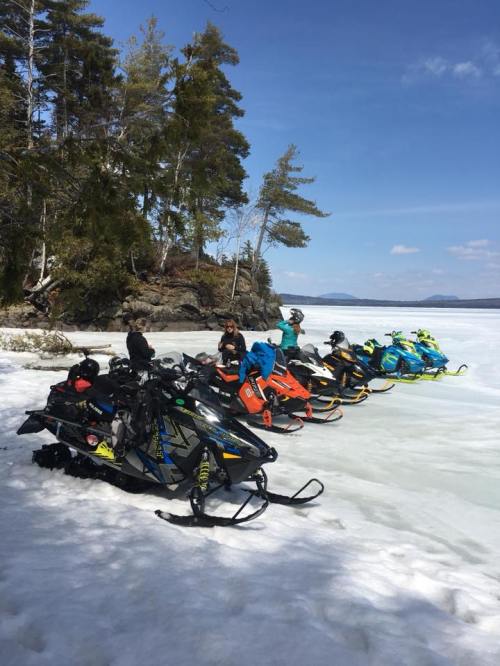 A group of snowmobiles lined up on a snowy landscape with trees and a blue sky in the background.