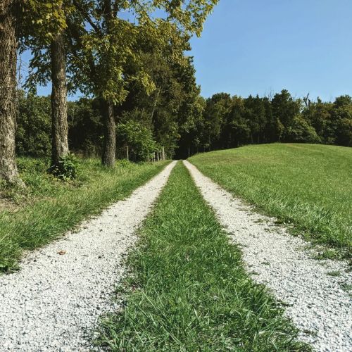 A gravel path leads through lush greenery, flanked by trees, towards a grassy field under a clear blue sky.