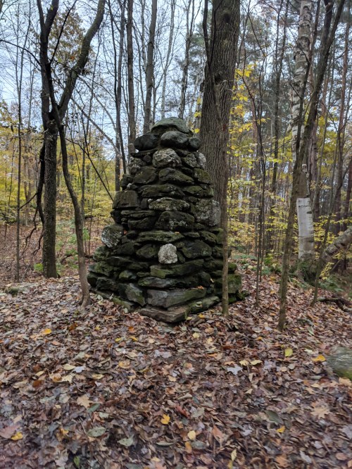 A stone cairn stands among trees in a forest, surrounded by fallen leaves in autumn colors.