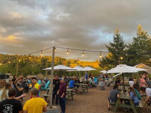 A lively outdoor gathering with people socializing at picnic tables under string lights, surrounded by trees and hills.