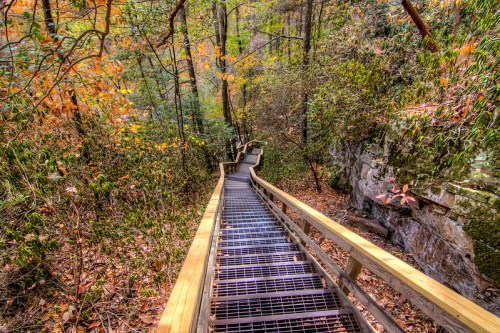 A winding wooden staircase descends through a lush forest with autumn foliage and rocky cliffs.