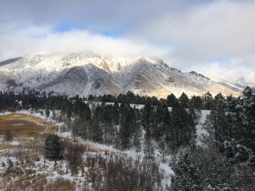 Snow-covered mountains rise above a forest of evergreen trees, with patches of sunlight breaking through the clouds.