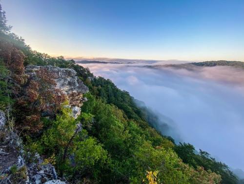 A scenic view of a cliff overlooking a valley shrouded in fog, surrounded by lush green trees under a clear blue sky.