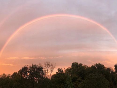 A vibrant rainbow arcs over a tree line against a soft, pastel sky at sunset.