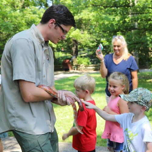 A zookeeper holds a snake while children and an adult watch, enjoying a wildlife education experience outdoors.