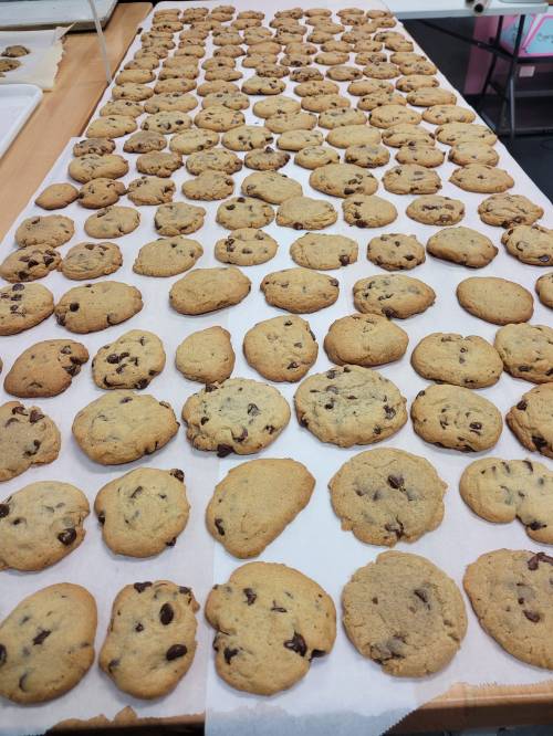 A large tray filled with rows of freshly baked chocolate chip cookies on parchment paper.