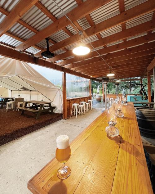 A wooden bar with glasses of beer, under a covered outdoor area with picnic tables and a tent in the background.