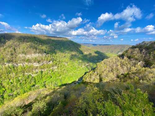 A panoramic view of lush green hills and valleys under a blue sky with fluffy clouds.