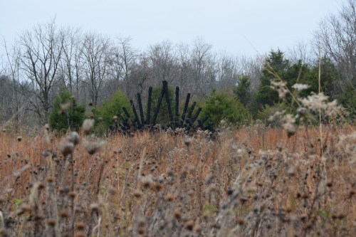 A field of dry grass and plants with a dark, abstract sculpture in the background, surrounded by sparse trees.