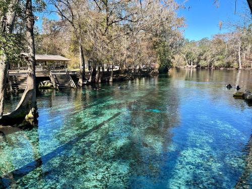 A serene river scene with clear blue water, surrounded by trees and a wooden dock under a bright blue sky.