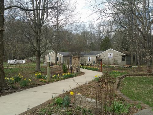 A winding path leads to a stone house surrounded by trees and blooming daffodils in a serene garden setting.