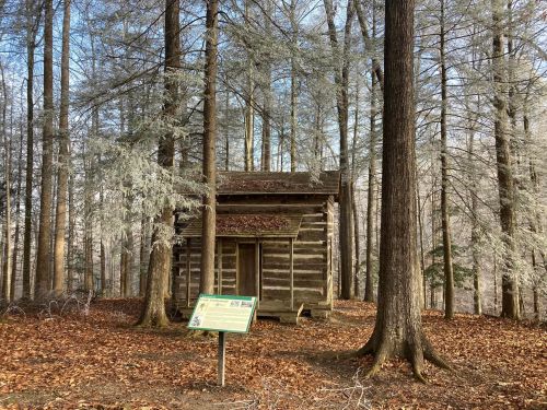 A rustic wooden cabin surrounded by tall trees, with a sign in front and fallen leaves on the ground.