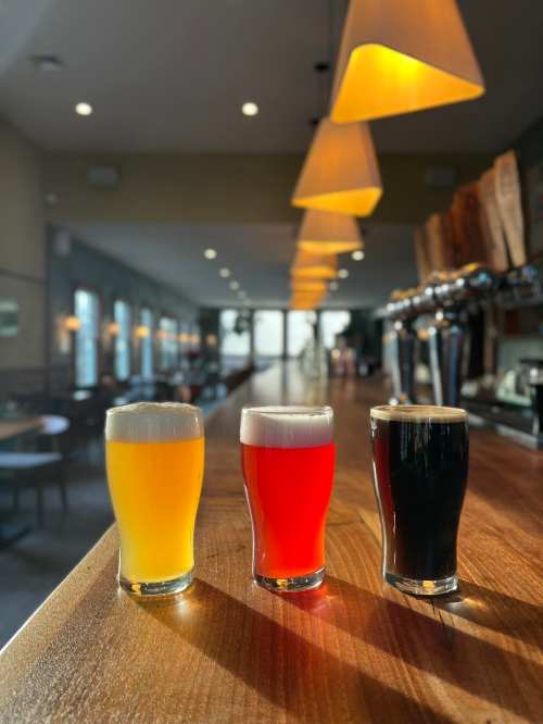 Three glasses of beer in a row on a wooden bar, with a bright, modern interior and pendant lights in the background.