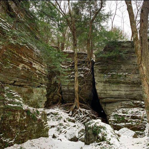 A snowy forest scene with tall cliffs, trees, and rocky terrain, creating a serene, natural landscape.