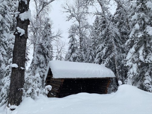 A snow-covered cabin surrounded by tall trees in a winter landscape. Snow blankets the ground and roof.