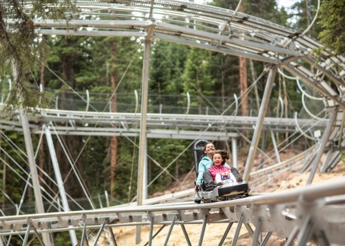 Two children enjoy a ride on a mountain coaster, surrounded by trees and metal tracks.