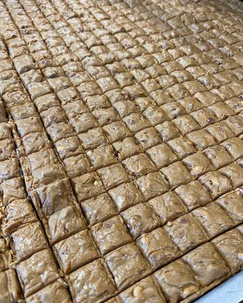 A close-up of a tray filled with neatly cut squares of fudge, showcasing a smooth, caramel-colored surface.