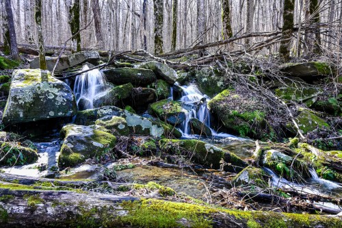 A serene forest scene featuring a small waterfall cascading over moss-covered rocks, surrounded by bare trees.