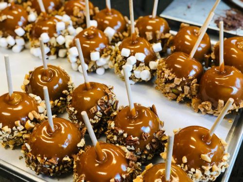 A tray of caramel apples, some coated with nuts and others with mini marshmallows, all on wooden sticks.