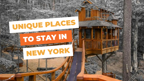 A treehouse in a forest, showcasing unique accommodations in New York, with bold text overlay.